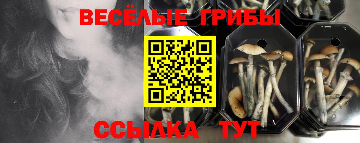 Галлюциногенные грибы Magic Shrooms Можайск